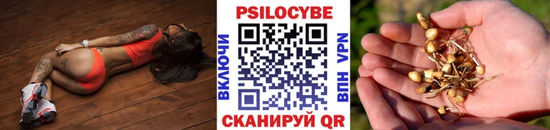 Галлюциногенные грибы прущие грибы  закладки  Армянск 